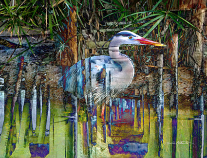 "Stealthy Pursuit" by Julie & Craig Morton