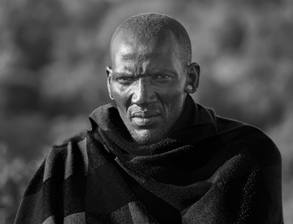 Intense by Pete Scifres