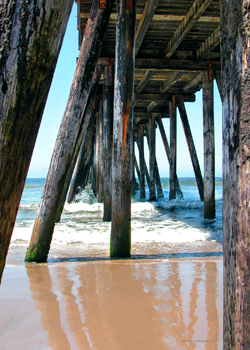 Midday Reflections by Craig Morton